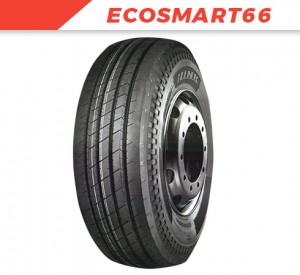 ECOSMART66