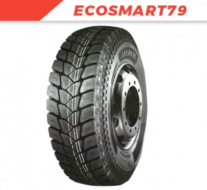 ECOSMART79